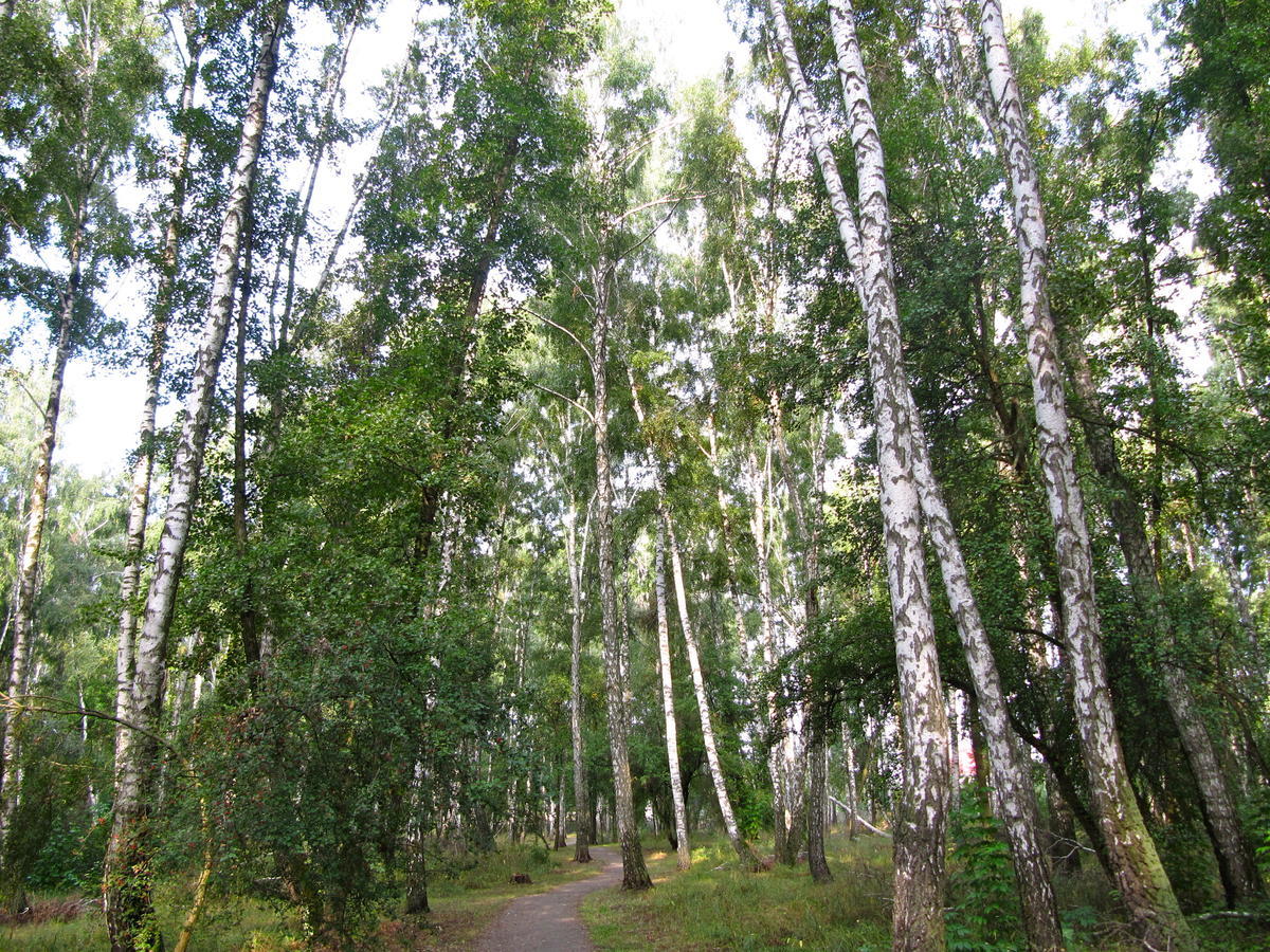 Готель «Северинівка» Exterior photo